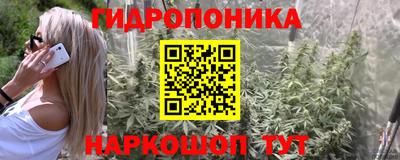 крисы Тара