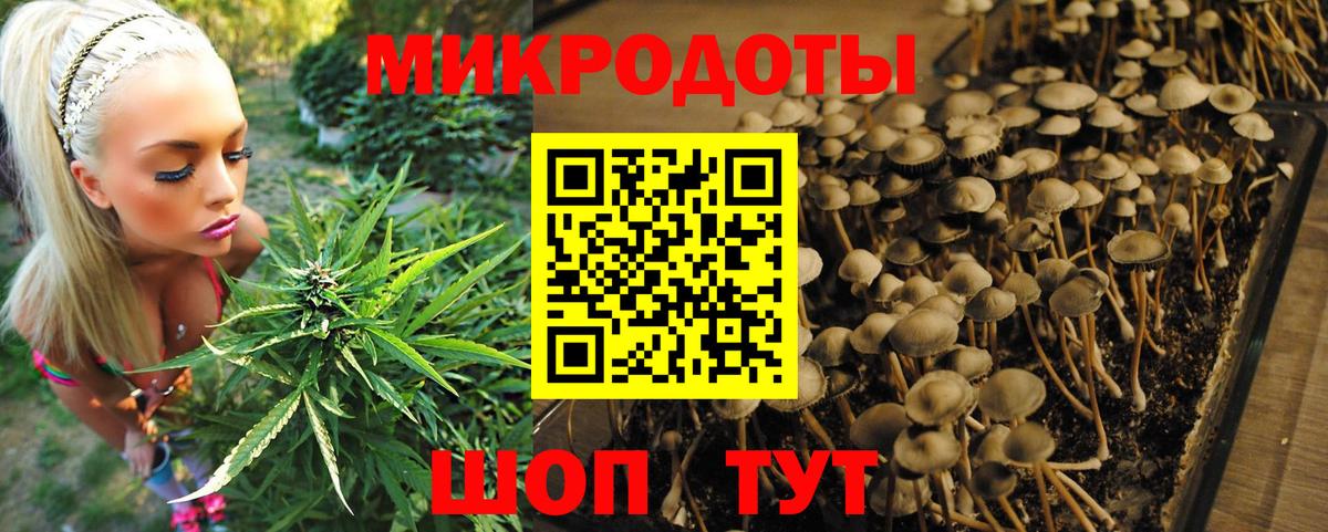 Ахтубинск  Псилоцибиновые грибы ЛСД  купить закладку  Вход с VPN  Галлюциногенные грибы мицелий 